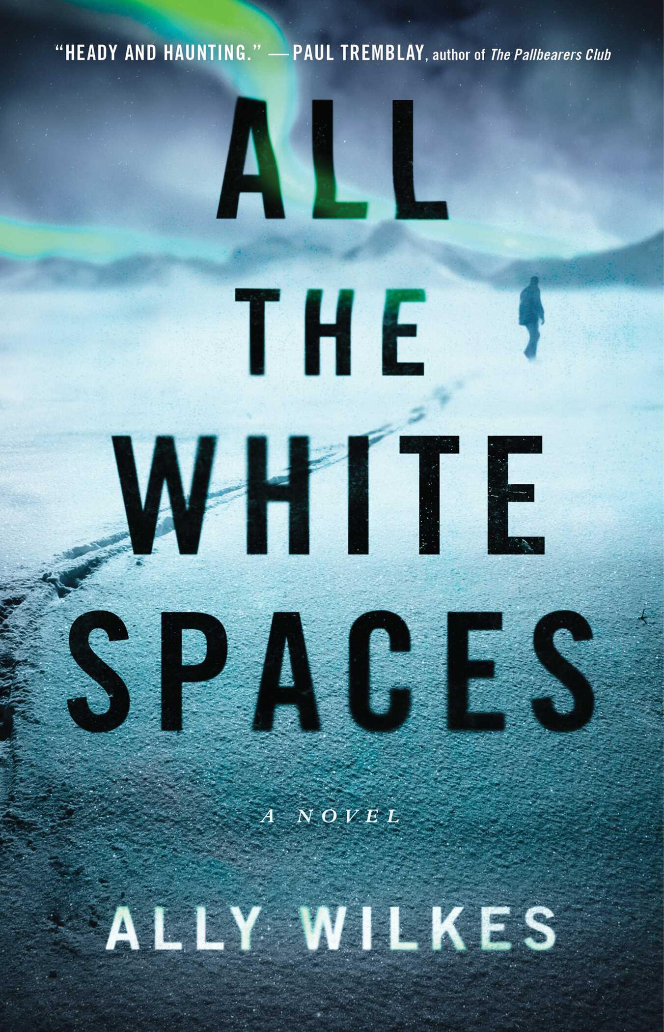 All the White Spaces by Ally Wilkes